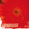 A Reminiscent Drive - Ambrosia A Reminiscent Drive - Ambrosia