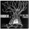 Radiohead - The Daily Mail / Staircase Radiohead - The Daily Mail / Staircase