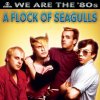 A Flock of Seagulls - We Are the '80s: A Flock of Seagulls
